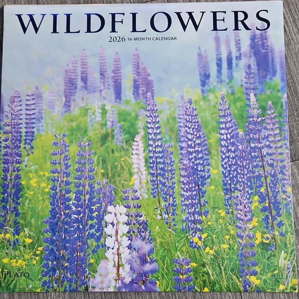 2026 Beautiful Pink Puppies Hummingbirds Wildflowers Pictures Calender Lot